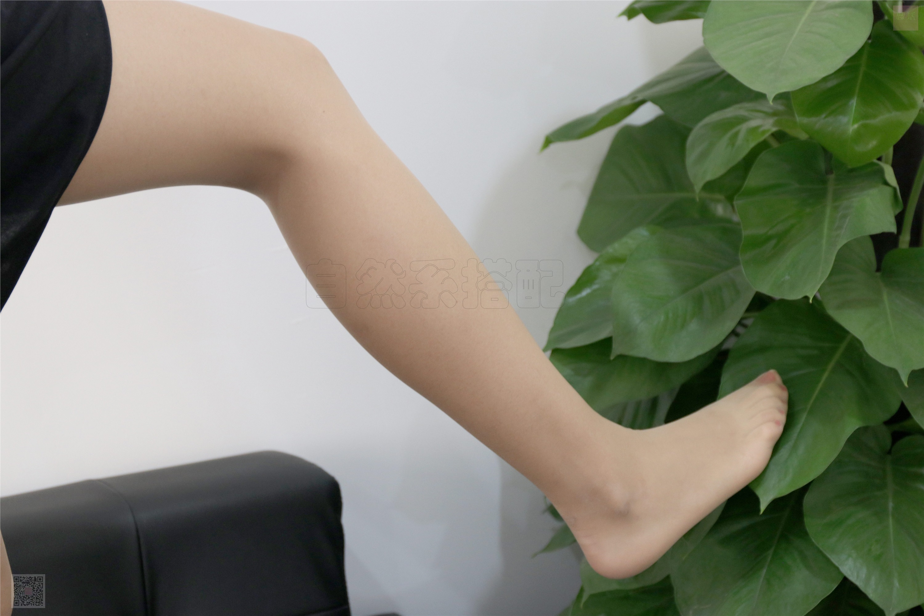 SiHua思话  SH023 子琦 办人室里折腾的一天